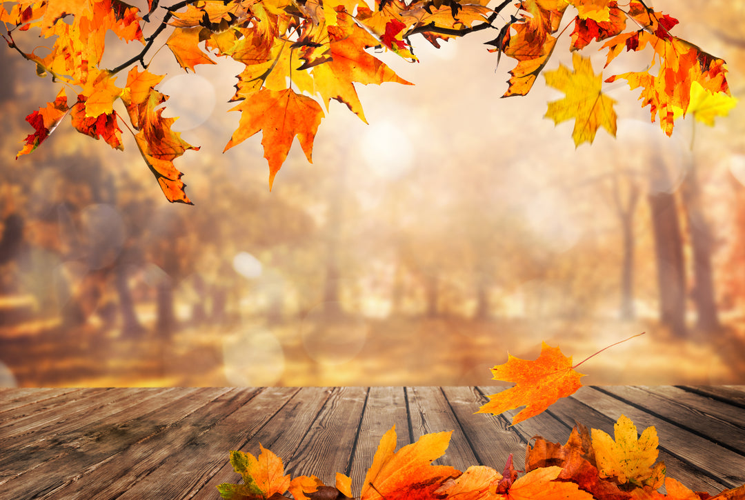 Happy Fall Y'all