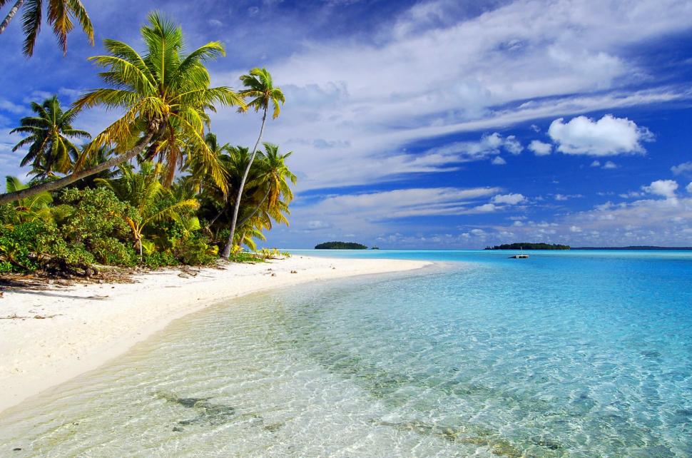 Tropical & Relaxing