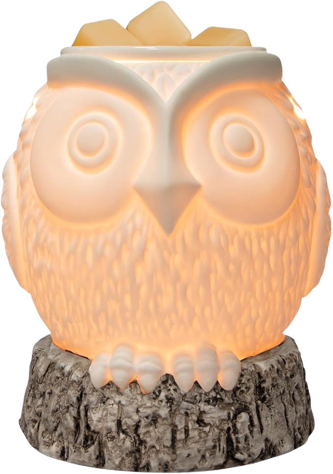 Electric Owl Wax Melter Warmer